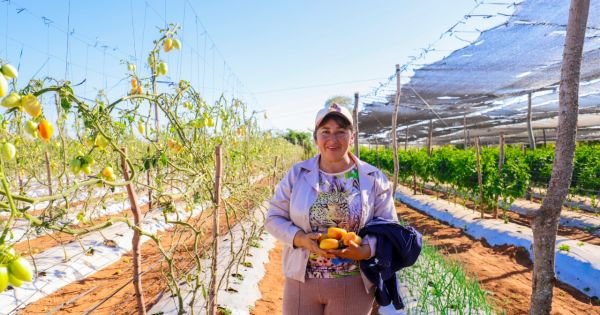 Инициативы по развитию парагвайского сельского хозяйства - Mercopress